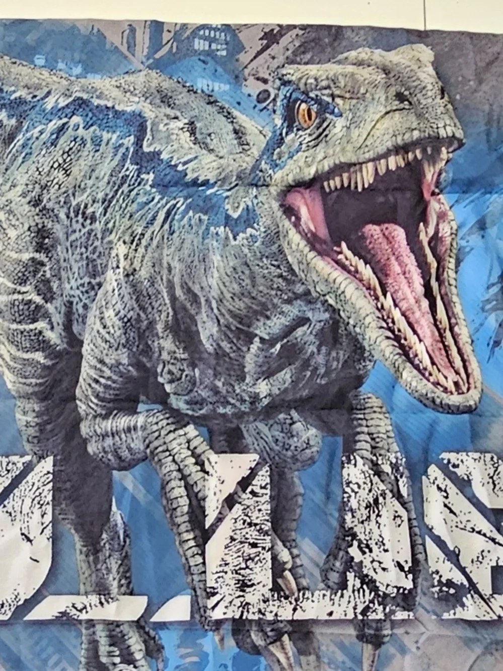 Jurassic World Sheet Set And Comforter.